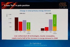 Photo by Adrienne Blume.