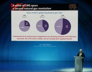 Photo by Adrienne Blume.