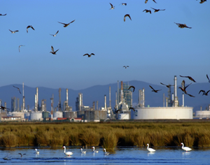 Photo courtesy of ENAP.