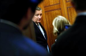 U.S. Senator Ted Cruz (R-TX)  REUTERS/Jonathan Ernst