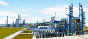 Shandong Wonfull Petrochemical Group