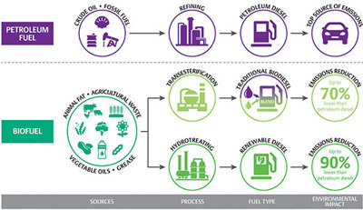 FIG. 1. Alternatives to conventional diesel use the same feedstocks, but with different approaches and results, each with their own characteristics.